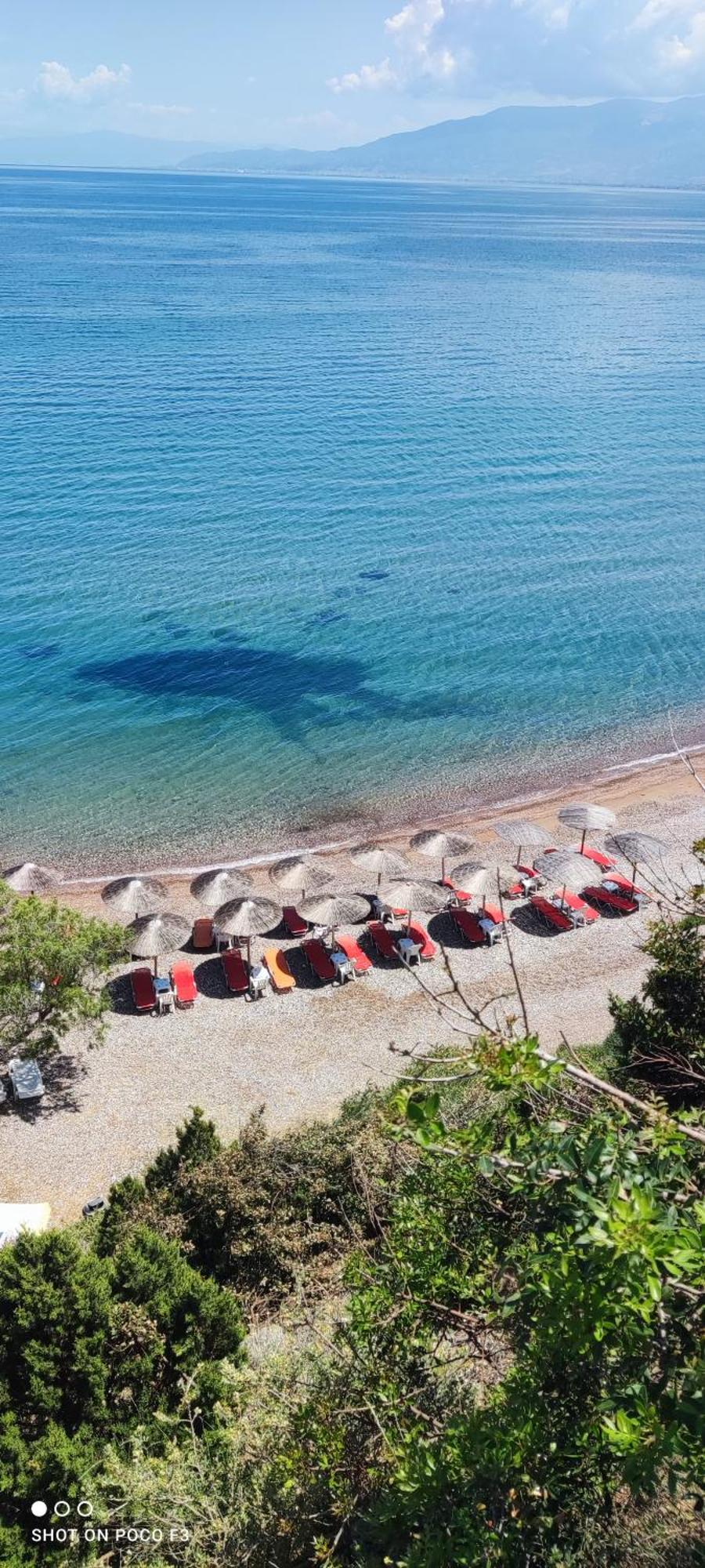 Koralli Sea View Hotel Káto Achaḯa Exterior foto